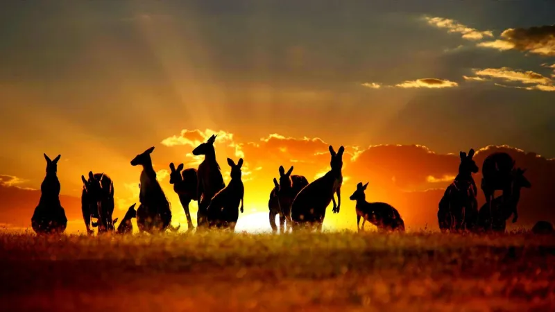 Pokies, Pubs, and Pixels: How Online Casinos Became Australia's New Social Hub